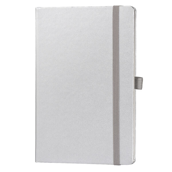 TOTO MAXI (silver)
