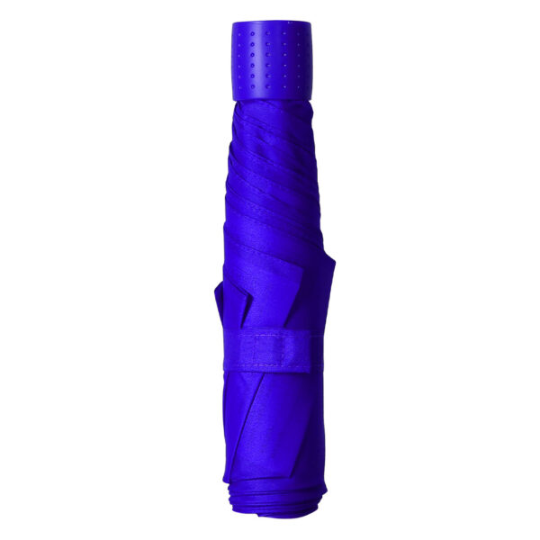 CAMPOS PLUS (rojal plava) - Image 3