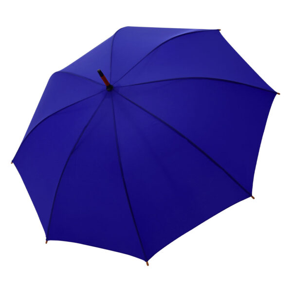 CLASSIC (rojal plava) - Image 2