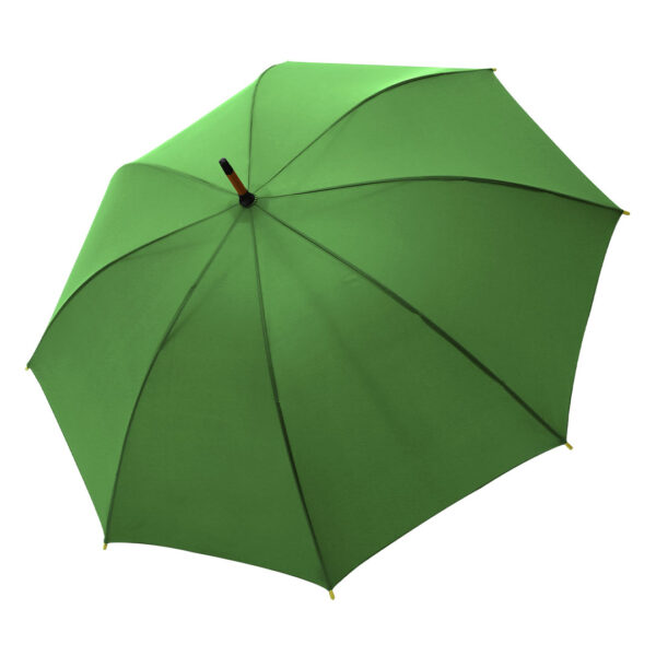CLASSIC (kelly green) - Image 2