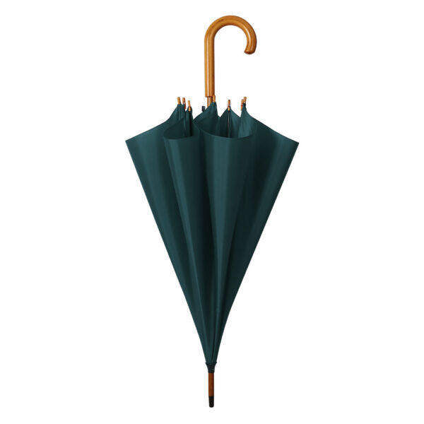 CLASSIC (petrol) - Image 3
