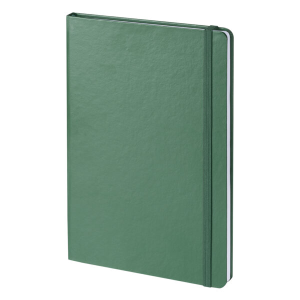 HELSINKI NOTE (kelly green)