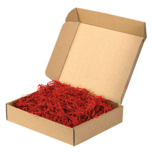 PAPER CHIP
